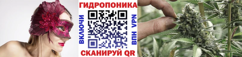 закладки  Завитинск  Каннабис семена 